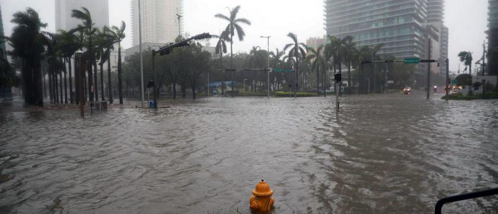 EN VIVO  Irma pierde fuerza y podriacutea dejar de ser huracaacuten