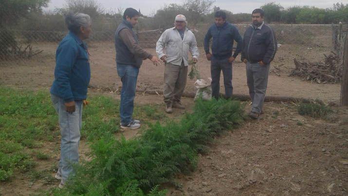 Realizan visitas teacutecnicas a huertas familiares para optimizar su rendimiento