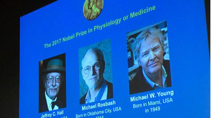 El premio Nobel de Medicina para los estudiosos del reloj bioloacutegico