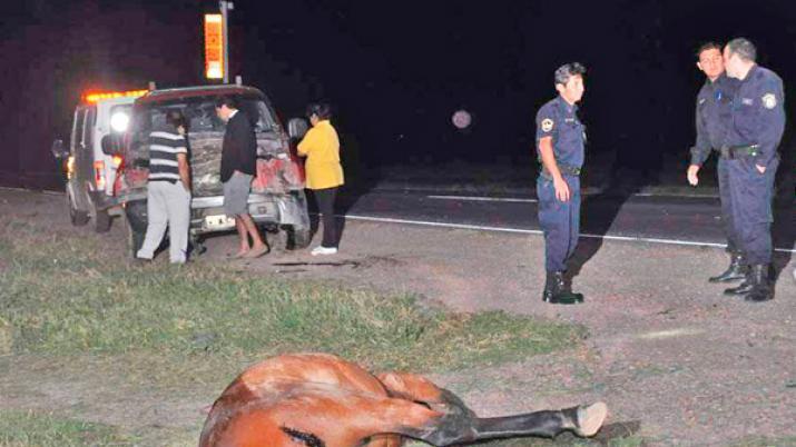 Un caballo muerto sobre la banquina casi produce una tragedia