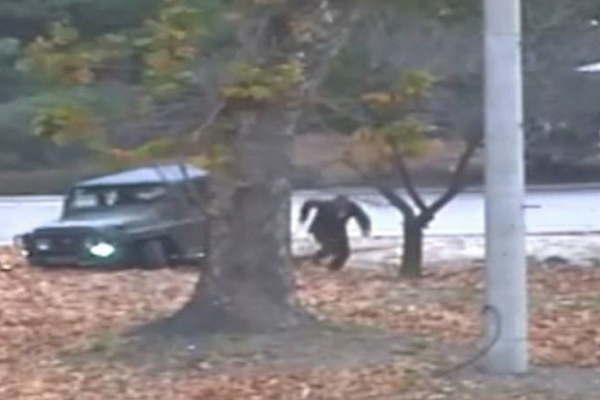 El video de un soldado desertor revela que Corea del Norte violoacute el alto el fuego 