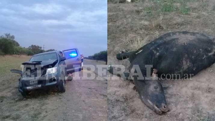 Un animal en la ruta casi produce una tragedia