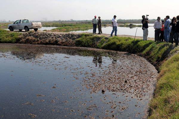 Ratifican que ingenios tucumanos disponen la vinaza en suelo cantildeero