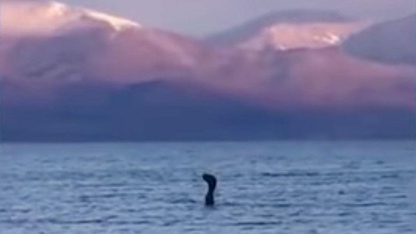 Descubren a una extrantildea criatura en un lago de los Balcanes