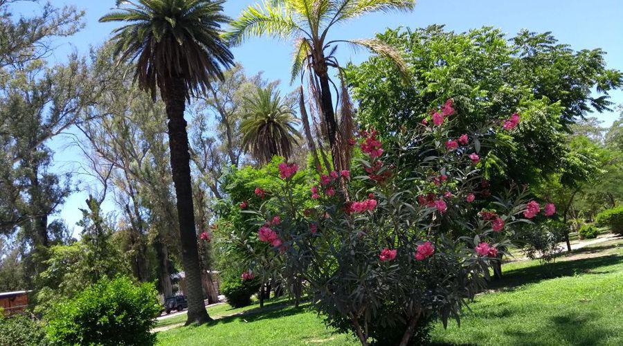 Jueves con calor y una maacutexima de 38 grados