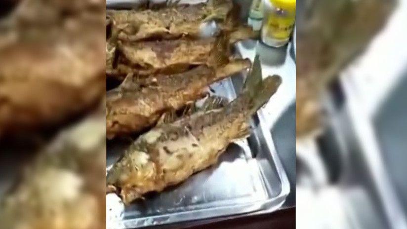 El pescado frito que auacuten estaacute vivo es furor en Internet