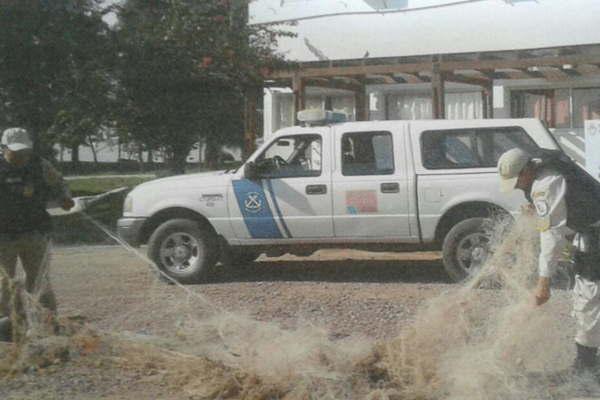 Prefectura secuestroacute maacutes de 400 metros de redes a pescadores furtivos 