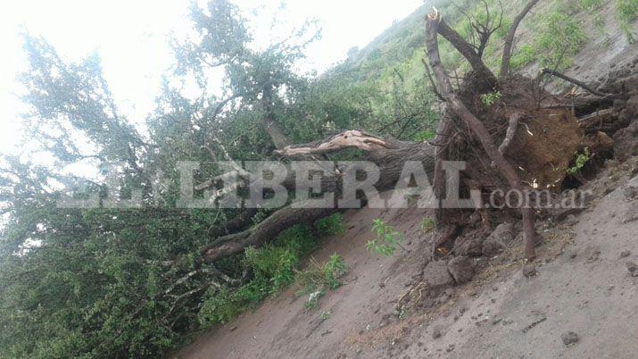 Fuertes rfagas de viento y lluvia  se registró en la zona rural de Choya