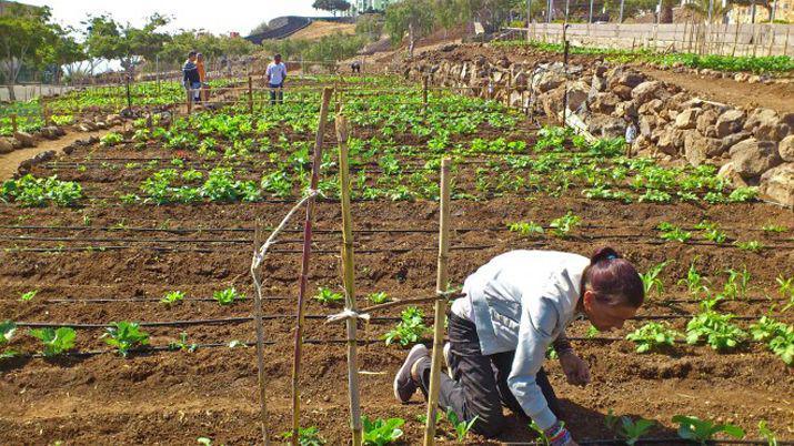 Lanzan nueva edicioacuten del Programa Semillero de Futuro