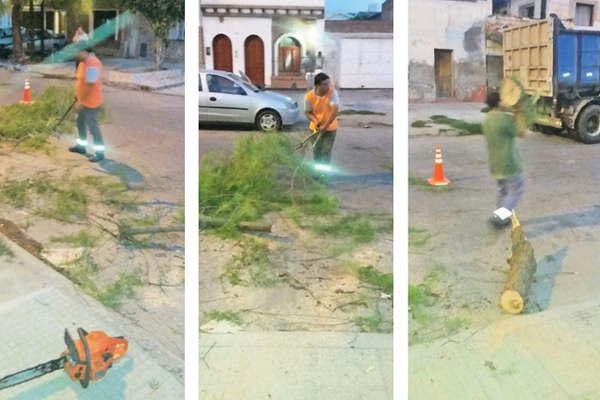 Un camioacuten de gran porte provocoacute cuantiosos dantildeos en la ciudad