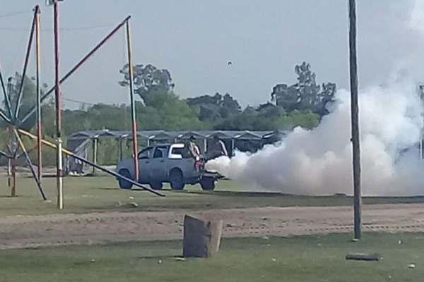 Por la proliferacioacuten de insectos agudizan los trabajos de fumigacioacuten