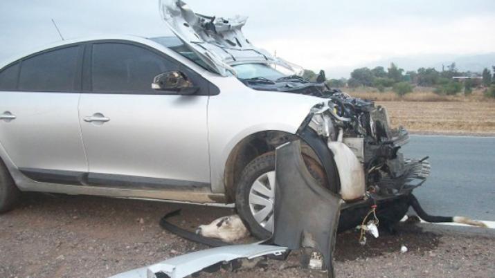 Auto con cuatro ocupantes embistioacute a una vaca