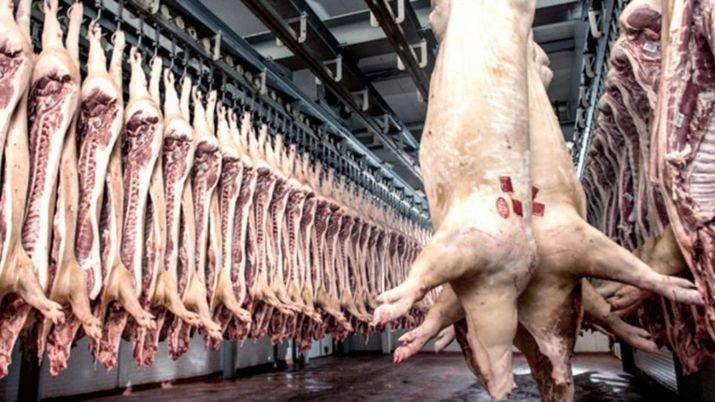 La Argentina habilitoacute el ingreso de carne de cerdo desde EEUU