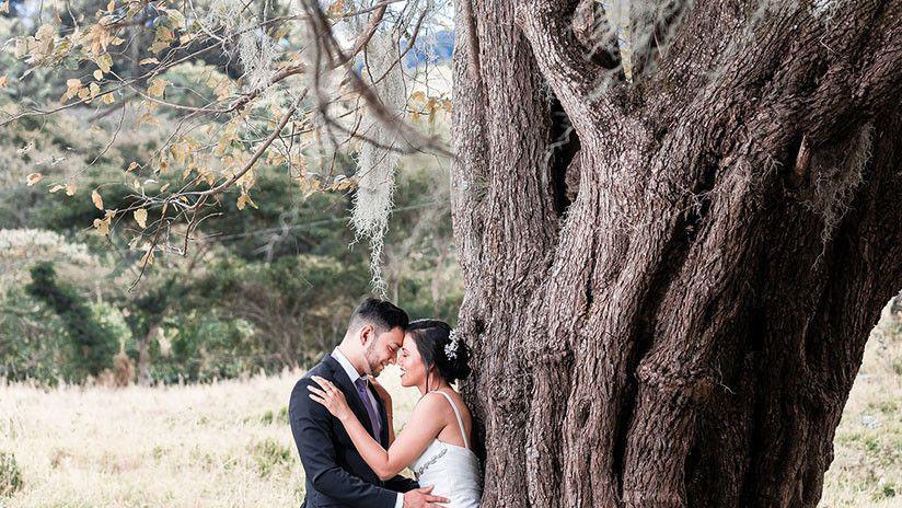 Recieacuten casados se salvan de ser aplastados por una rama de aacuterbol