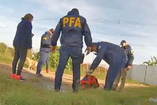 Controlan a las fuerzas de seguridad con caacutemaras ocultas