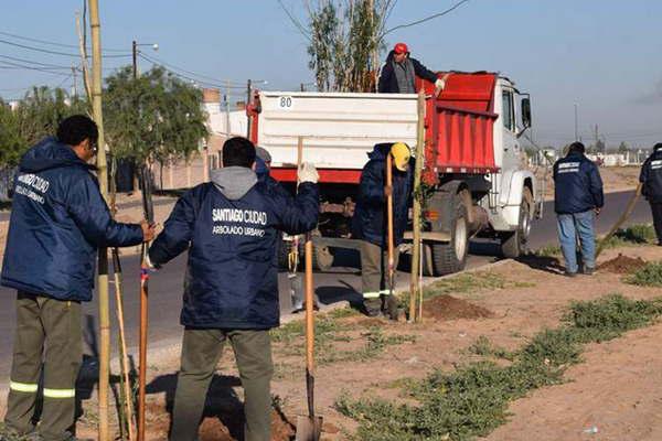 En tres meses el municipio plantoacute maacutes  de 20 mil aacuterboles