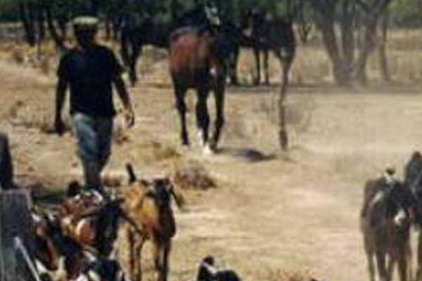 Encuentro de entidades campesinas e indiacutegenas 