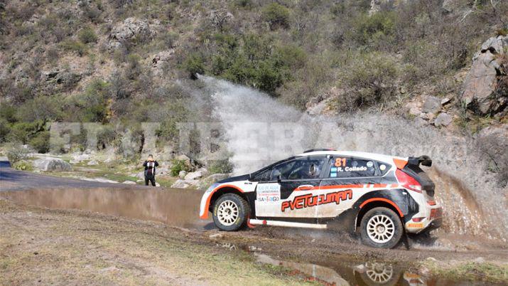 ColladoAllub voló en las sierras de Ojo de Agua