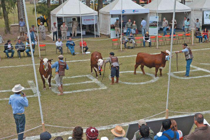 Todo listo para la ExpoBra 2018 en el vivero San Carlos