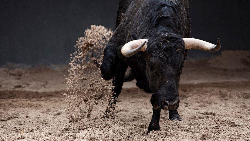 Impactante- Un toro embiste a un hombre durante un festejo en Espantildea