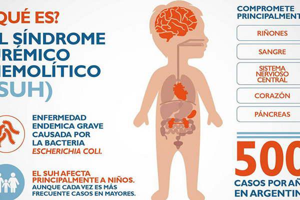 Siacutendrome Ureacutemico Hemoliacutetico- todo lo que hay que saber sobre la enfermedad que despierta la comida en mal estado