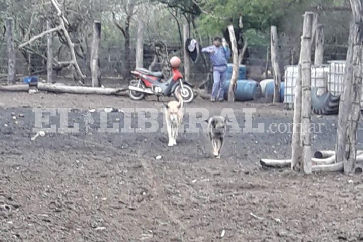 Héctor Reyes Corvaln se prendió fuego tras oponerse a un desalojo