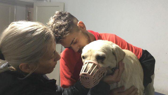 Emocionante- encontroacute a su perro a traveacutes de Facebook luego de 3 antildeos