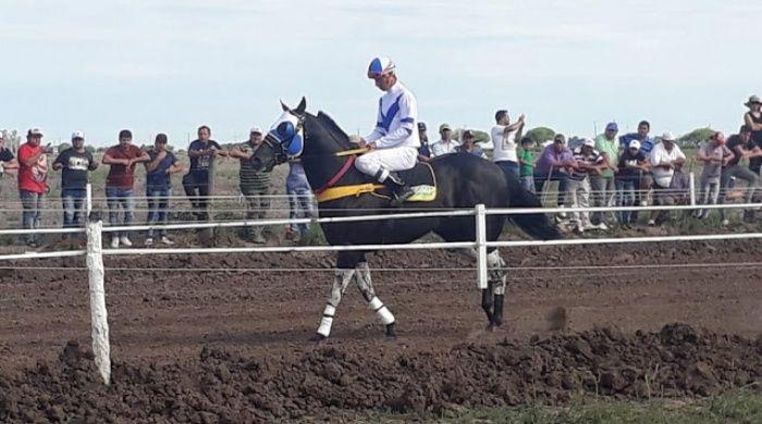 El hipoacutedromo de Selva fue reacutecord en millonarias apuestas