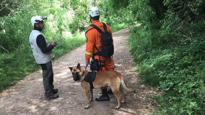 Canes de la Policiacutea santiaguentildea lograron un reacutecord en la buacutesqueda de personas