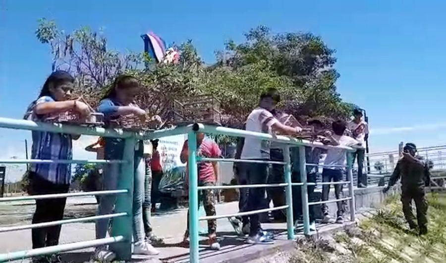 VIDEO  Tara Inti- nintildeos ayudaron a liberar aves rescatadas en Las Termas