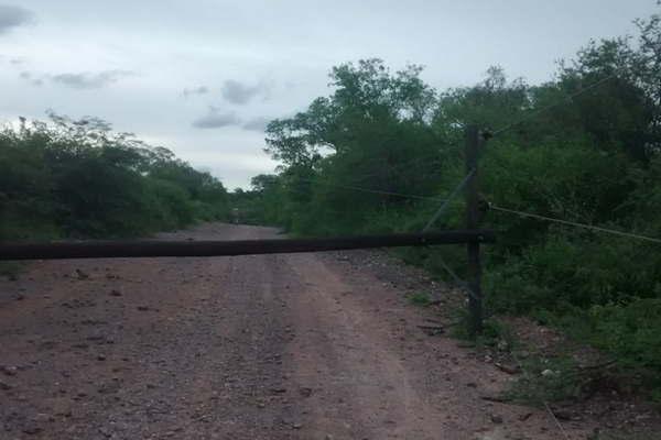 La feroz tormenta golpeoacute duramente la red de postes y cableado eleacutectrico en la provincia