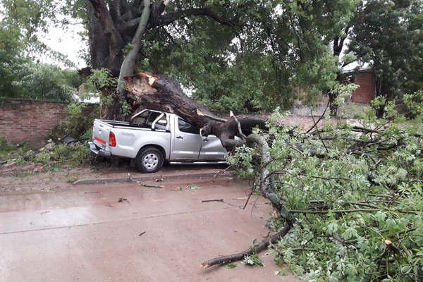 Vientos de maacutes de 100 kmhora dejaron destrozos en todo Monte Quemado