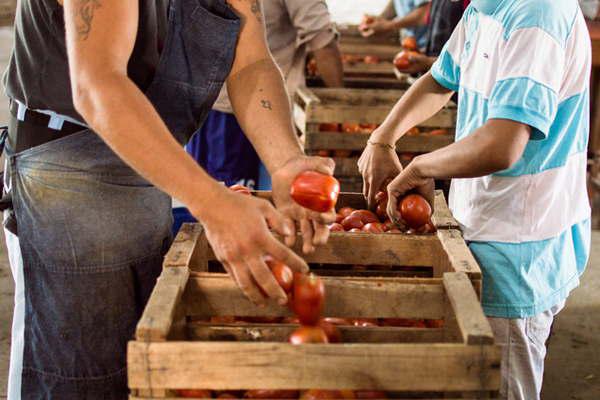 Empezaraacuten a producir salsas guisos y medallones de verduras