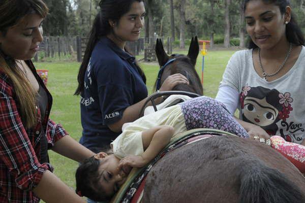 Entidad santiaguentildea necesita un caballo para hacer equinoterapia
