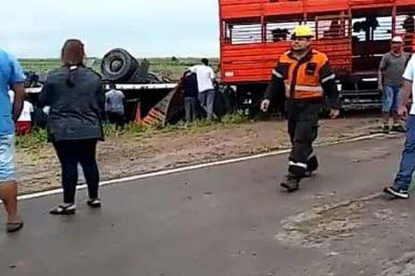 VIDEO  Roce de camiones provocoacute el vuelco de uno que transportaba vacas y las faenaron en plena ruta