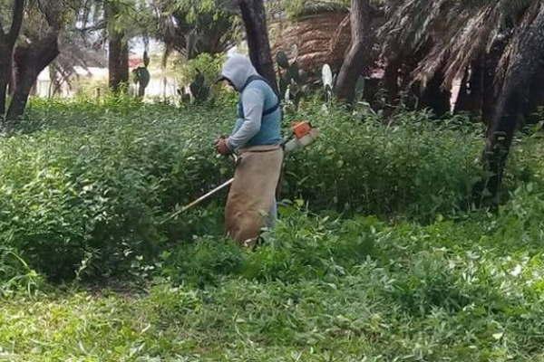 Obreros de Antildeatuya trabajan en doble turno en diversos sectores