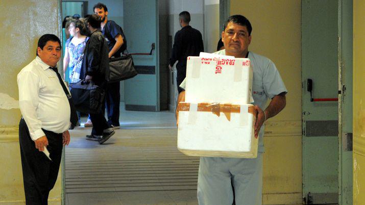 La donacioacuten de oacuterganos crecioacute 62-en-porciento- en el primer trimestre del antildeo