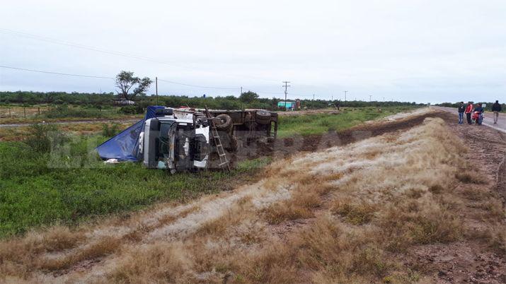 Camioacuten chocoacute dos vacas sueltas en la ruta 9 y terminoacute volcando