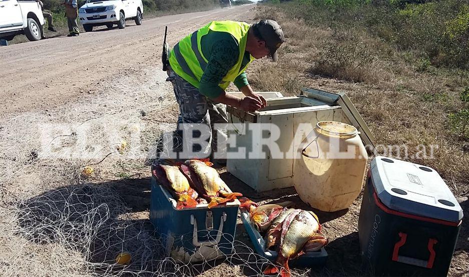 Interceptan a pescadores y les secuestran 40 dorados y tramayos