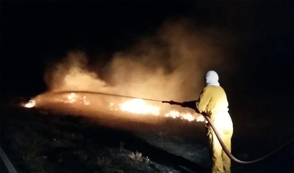 Controlan un incendio forestal a la vera de la Ruta 9