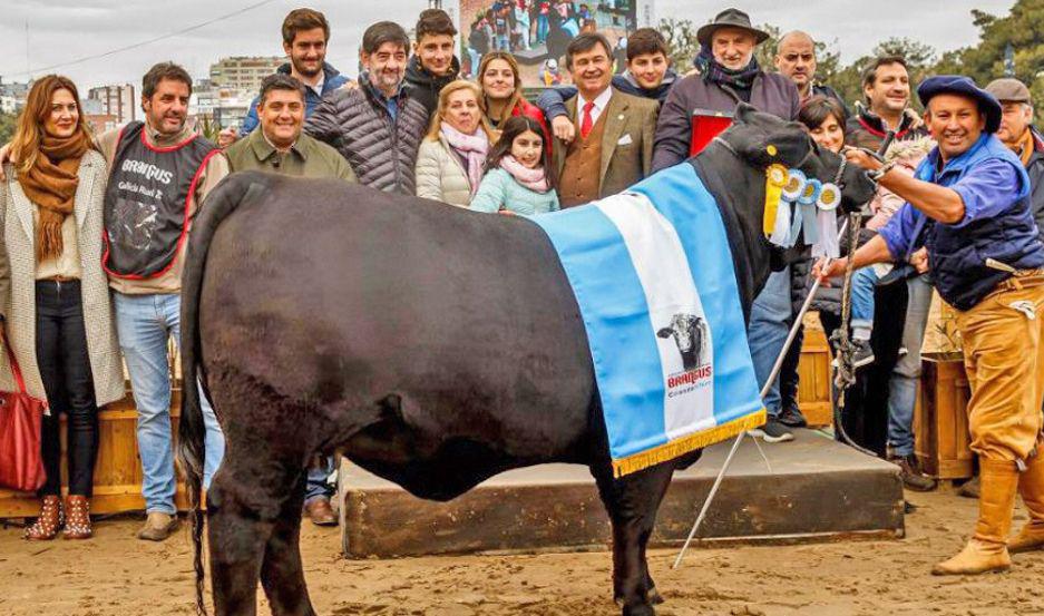 La Gran Campeona Hembra de la raza Brangus pertenece a una cabantildea local