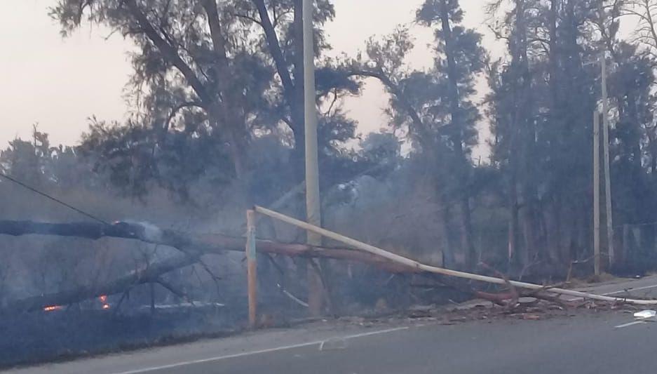 VIDEO  Ruta 51- un incendio de pastizales puso en alerta a bomberos y policiacutea