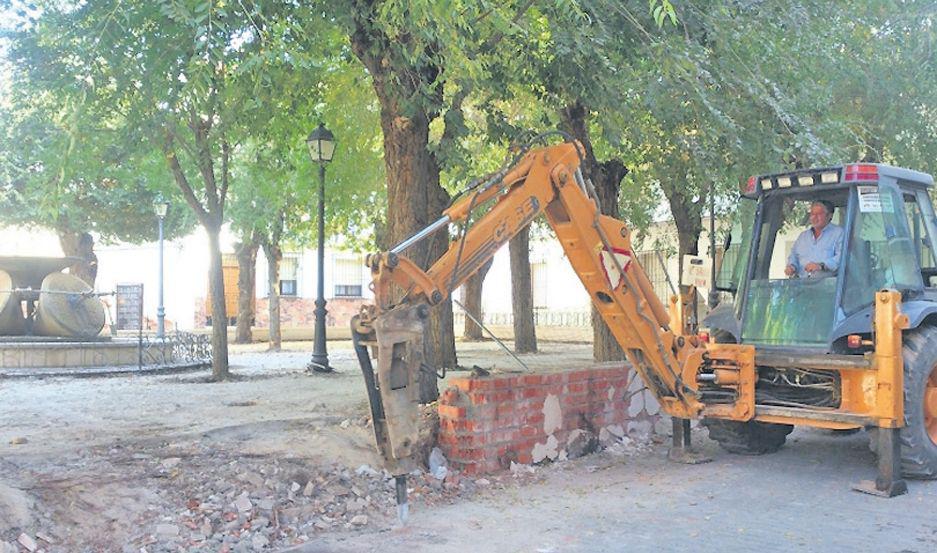 Recuerdan que no se pueden extraer aacuterboles de la vereda sin autorizacioacuten