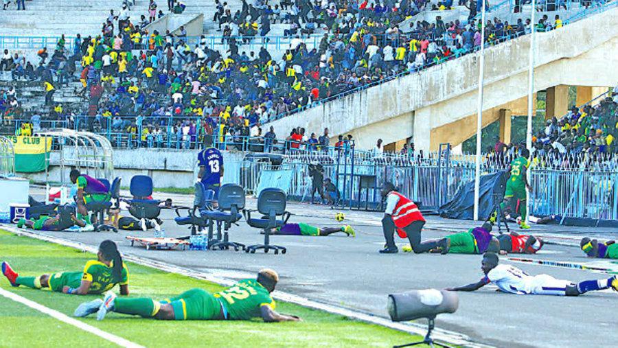 iexclCuerpo a tierra Enjambre de abejas invade un campo de juego atacando a los jugadores en pleno partido