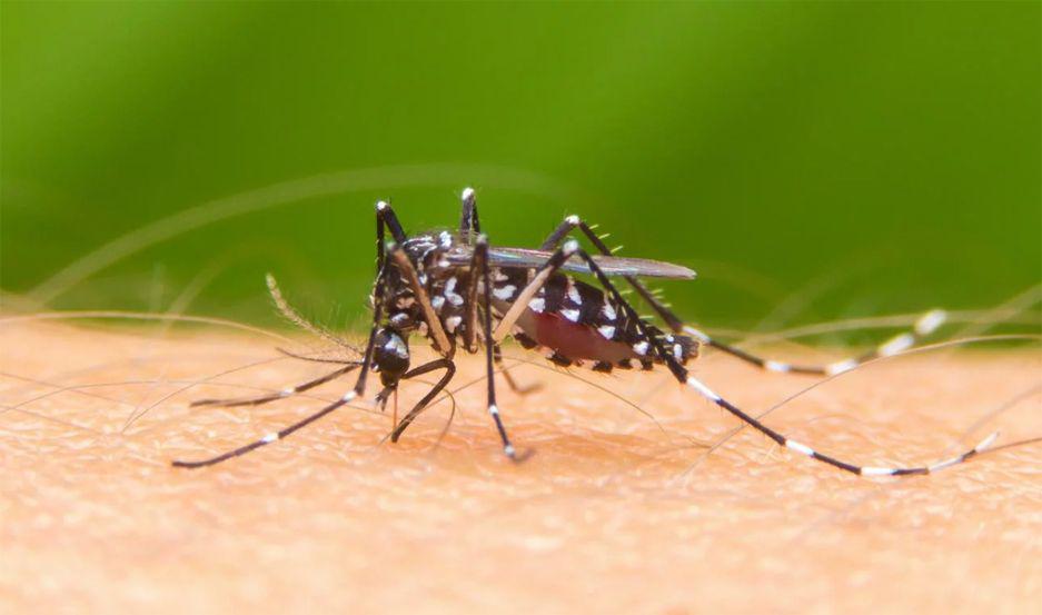 Las autoridades alertan a la población ante nuevos casos de dengue en la provincia