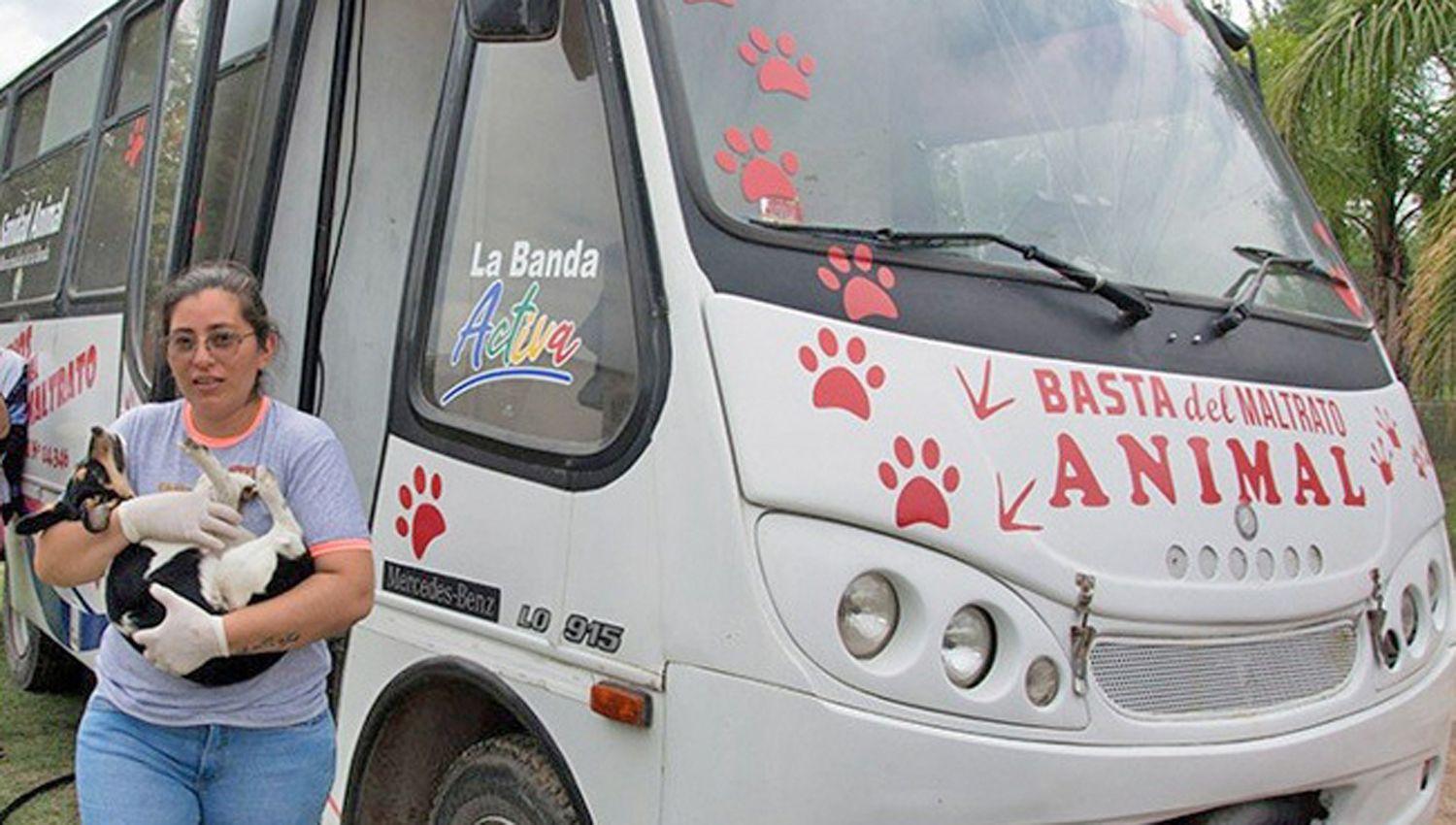 La asistencia a las mascotas se har� por ahora con restricciones por el distanciamiento social