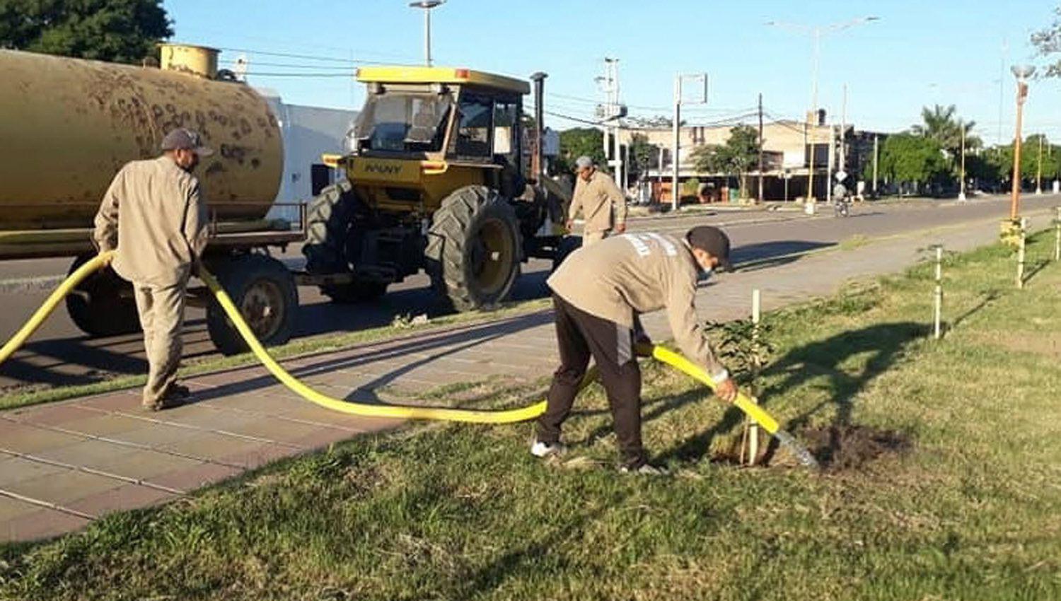 Desde la Municipalidad de Fernaacutendez instan a regar y a cuidar todos los aacuterboles plantados