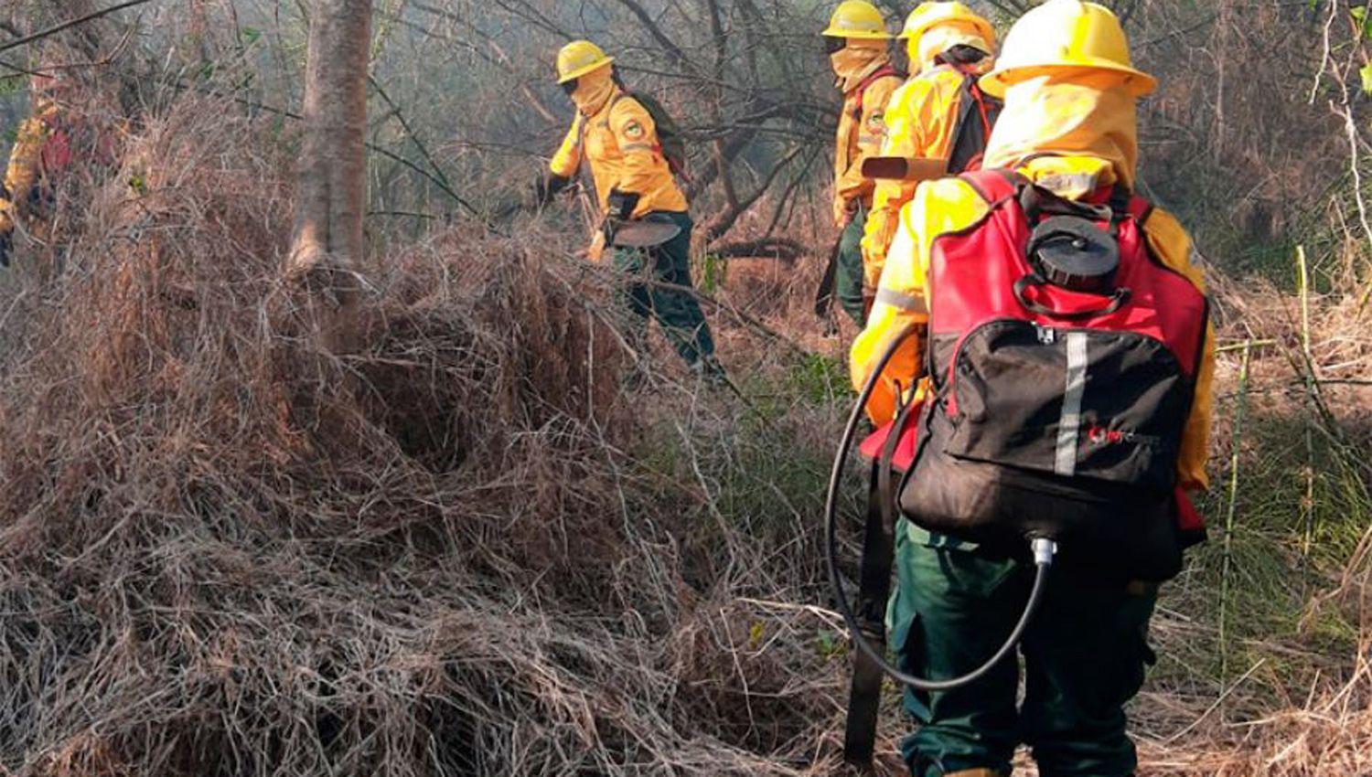 Imputaraacuten graves cargos contra los cinco detenidos por el incendio en Tara Inti y la muerte de gatos monteses