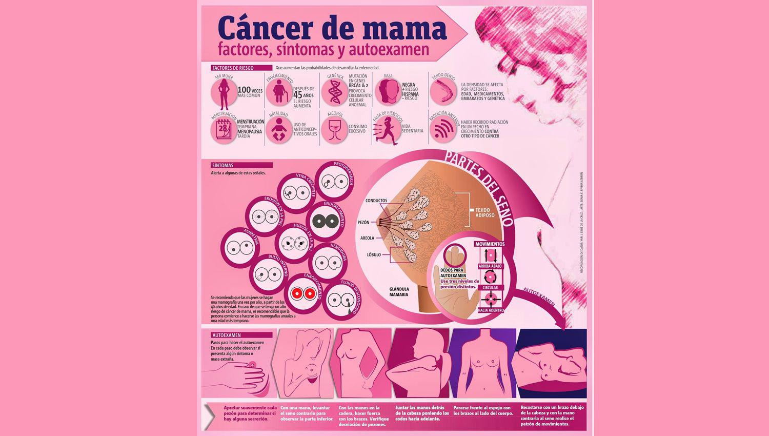 Caacutencer de mama- volver a los controles para evitar los diagnoacutesticos tardiacuteos