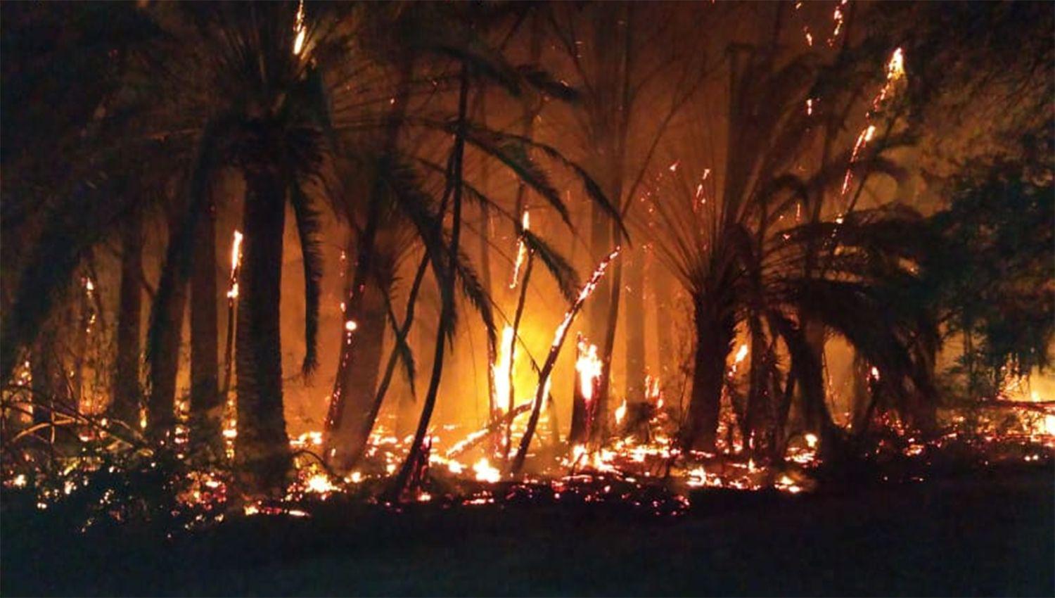 Pavoroso incendio atemoriza a vecinos de Fernaacutendez